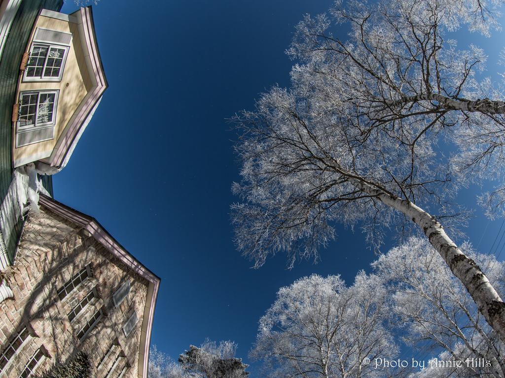 Bed and Breakfast Annie Hills Татесіна Екстер'єр фото