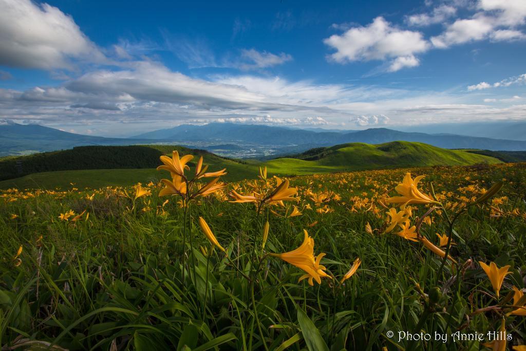 Bed and Breakfast Annie Hills Татесіна Екстер'єр фото